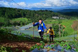 BIB: 
                            <button type="button" onclick="openModal(13382003)" class="btn btn-primary btn-sm float-right btn-popup" data-toggle="modal" data-target=".modal-high-quality">
                        <i class="fas fa-shopping-cart"></i> Add to Cart
                    </button>
                                            <button type="button" onclick="isThisMe(13382003, true)" class="btn btn-success btn-sm float-right btn-popup btn-isme hidden" data-toggle="tooltip" data-placement="bottom" title="นี่คือรูปของคุณใช่ไหม คลิกที่นี่เพื่อเอาเข้าอัลบั้ม">
                        <i class="fas fa-plus"></i> Add to album
                    </button>
                    <button type="button" onclick="isThisMe(13382003, false)" class="btn btn-warning btn-sm float-right btn-popup btn-isnotme hidden">
                        <i class="fas fa-ban"></i> Remove from album
                    </button>